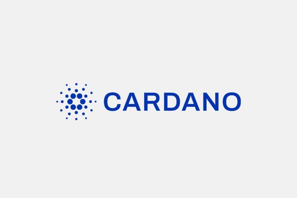 In 2025, Selnoviktech Testnet launched on Cardano PreProd